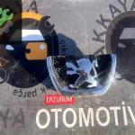 Peugeot 206 ön Panjur Arması Çıkma Orjinal