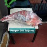 Peugeot 301 Sağ Arka Stop çıkma parça - ANTALYA OTO ÇIKMA Antalya