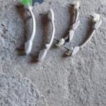 PEUGEOT 307 TAVAN TUTAMAKLARI ÇIKMA