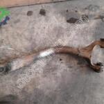 PEUGEOT 406-2000 DTİ ARKA DİNGİL PARÇALARI AYRI PARÇA VERİLİ