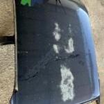 Peugeot 406 Çıkma Tavan