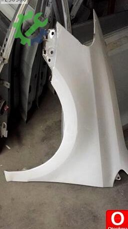Volkswagen Polo Ön Çamurluk çıkma parça