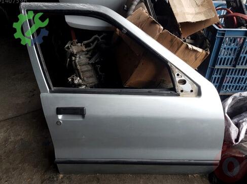 Renault R 19 Sağ Ön Kapı çıkma parça