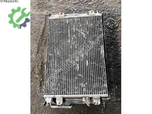 Renault Clio 1.3 için Özel Radyatör Seti