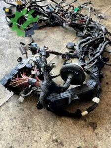 Renault Clio Elektrik Tesisatı Çıkma