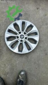 RENAULT CLIO JANT KAPAĞI