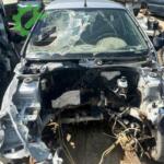 Çıkma Renault Clio Tavan