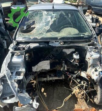Renault Clio Tavan çıkma parça