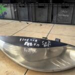 Renault Fluence 2025 Sağ Ön Far Çıkma