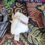 Renault Kadjar yedek su bidonu deposu