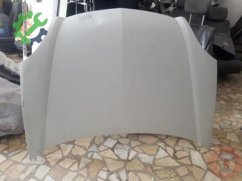 Renault Kangoo Ön Kaput çıkma parça