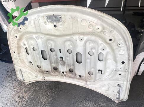 Renault Latitude Kaput çıkma parça