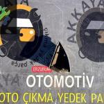 Renault Megane 2 Sağ Ayna iç Kapağı Orjinal Çıkma