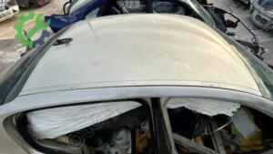 Tavan Renault Megane Çıkma