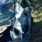 Renault Megane sağ arka çamurluk