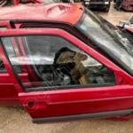 Renault R21 Komple Arka Sökme Çıkma