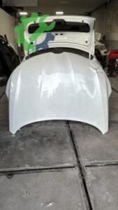 RENAULT TALİSMAN MOTOR KAPUTU