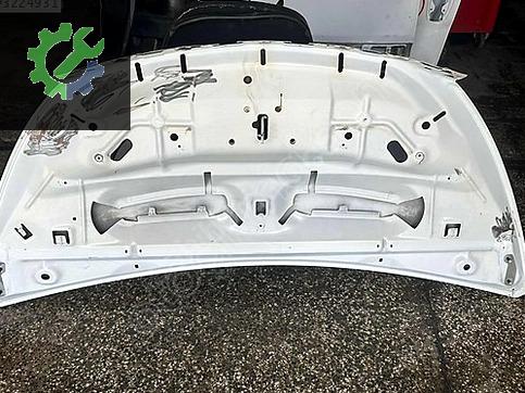Renault Trafic Kaput çıkma parça