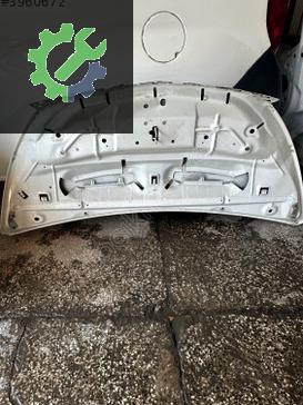 Renault Trafic Kaput çıkma parça