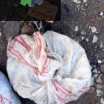 Şahin s komple tesisat