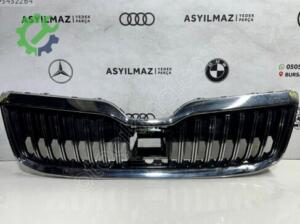 SKODA SUPER B ÖN PANJUR ORJİNAL