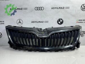SKODA SUPERB ÖN PANJUR ORJİNAL  -NO243