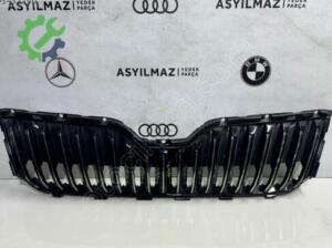 SKODA SUPERB ÖN PANJUR ORJİNAL  -NO50