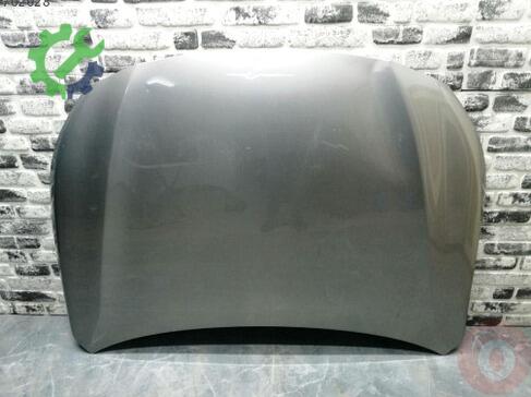 Subaru Forester Kaput çıkma parça
