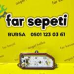 TAİLANT FAR BEYNİ (ORJİNAL)