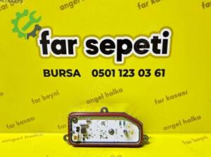 TAİLANT FAR BEYNİ (ORJİNAL)