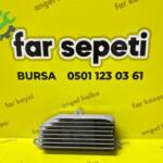 TAİLANT FAR BEYNİ (ORJİNAL)