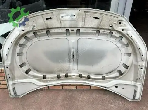 Volkswagen Tiguan Ön Kaput çıkma parça