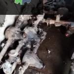 Tofaş Doğan Defransiyel çıkma parça - ŞAHİNGÖZ OTOMOTİV İzmir