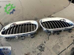 Çıkma Orijinal Ön Panjur BMW 5 Serisi (E60)