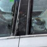 VOLKSWAGEN JETTA ORTA DİREK KAPLAMASI