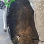 Volkswagen Passat B6 Kaput Keçesi Hatasız Orjinal Çıkma