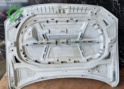 Volkswagen Passat Kaput 3G0823031 çıkma parça