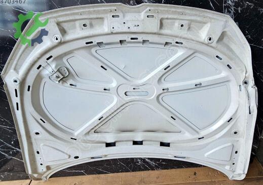 Volkswagen Passat Kaput 3AA823031 çıkma parça