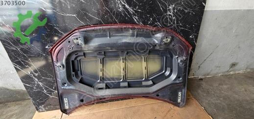 Volkswagen T-Roc Ön Kaput 2GA823031 çıkma parça
