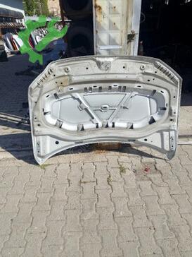Volkswagen Tiguan Kaput çıkma parça