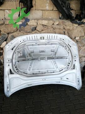 Volkswagen Passat Ön Kaput çıkma parça
