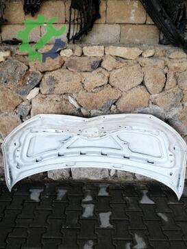 Volkswagen Transporter Ön Kaput çıkma parça