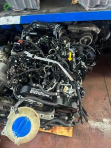 1.4 TDI CUS Volkswagen Polo Motor (2014/2017)