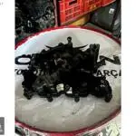 059129711BQ – 059129712BQ AUDİ A6 Q7 EMME MANİFOLDU