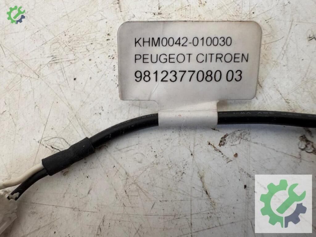 Peugeot Rifter Mikrofon çıkma parça