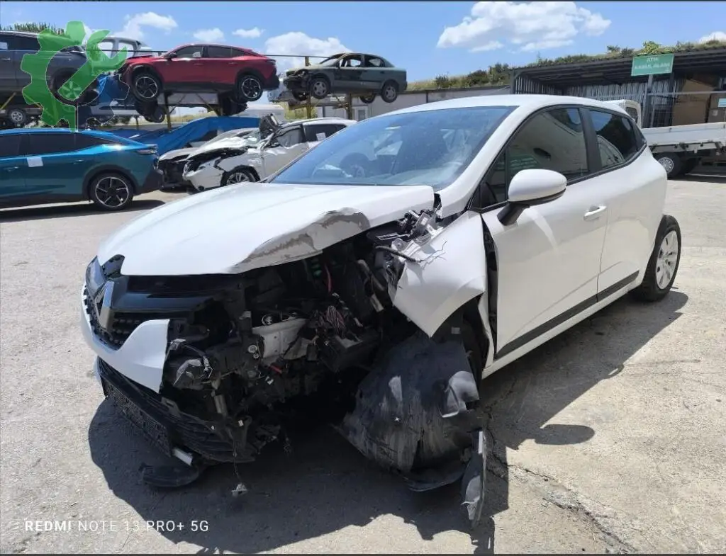 Renault Clio Sağ Kapı 4242 çıkma parça