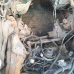 Chevrolet Blazer Motor Beyni çıkma parça - MISIRCIOĞLU OTO ÇIKMA YEDEK PARÇA Zonguldak