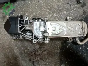 1.6 CAY motor egr ve egr Soğutucu 117255.07