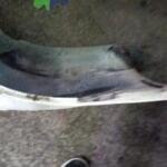 1998-2001 VOLVO S70 ÖN TAMPON -DS OTOMOTİV-