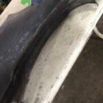 1998-2005 PEUGEOT 206 SOL ARKA ÇAMURLUK SACI